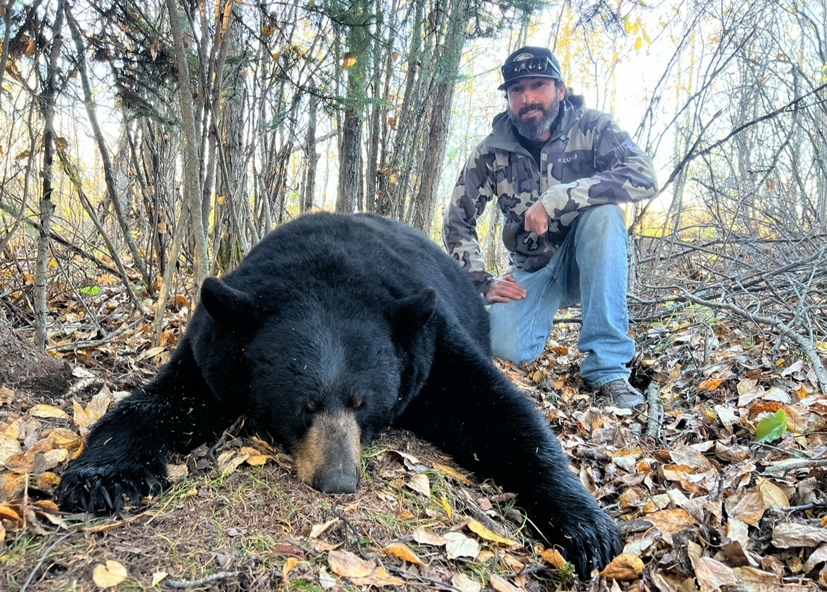 The Spring Black Bear Hunt